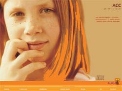 FLASH ������