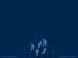 Flash ��������