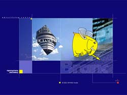 Flash ��������